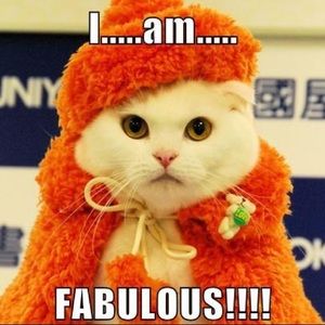 ABOUT MY CLOTHES CLOSET